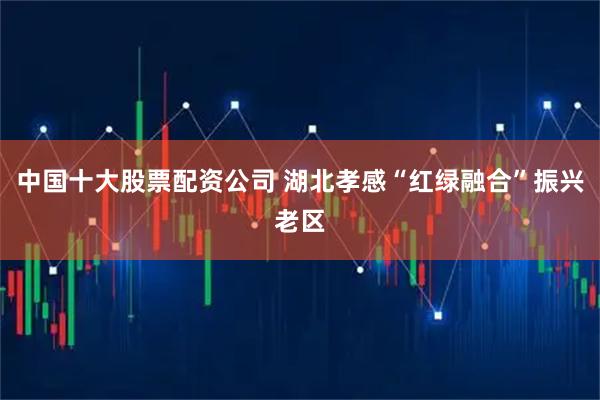 中国十大股票配资公司 湖北孝感“红绿融合”振兴老区